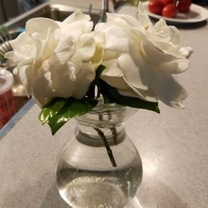 Meet your Posher, Rosaura